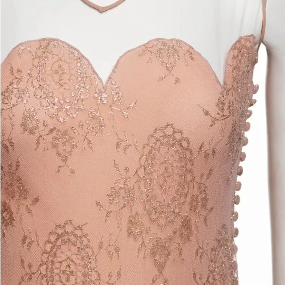 Blush Lace Tulle Evening Gown - Picture 5 of 12